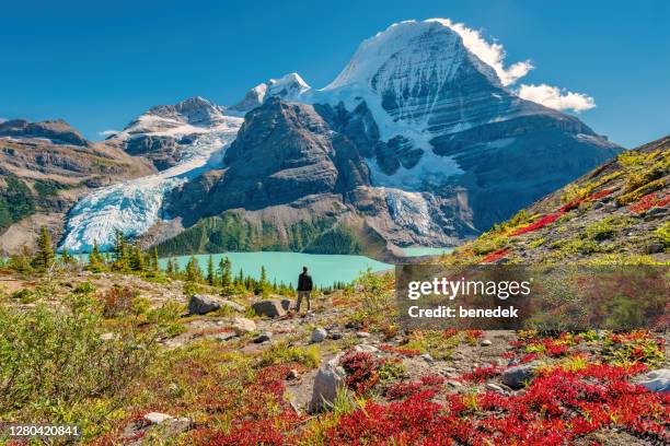 wanderer bewundert blick auf mount robson canadian rockies kanada - british columbia stock-fotos und bilder