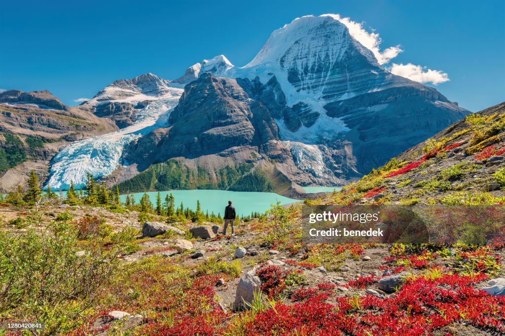 Un randonneur admire la vue du mont Robson Dans les Rocheuses canadiennes Canada