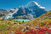 Hiker admires view of Mount Robson Canadian Rockies Canada