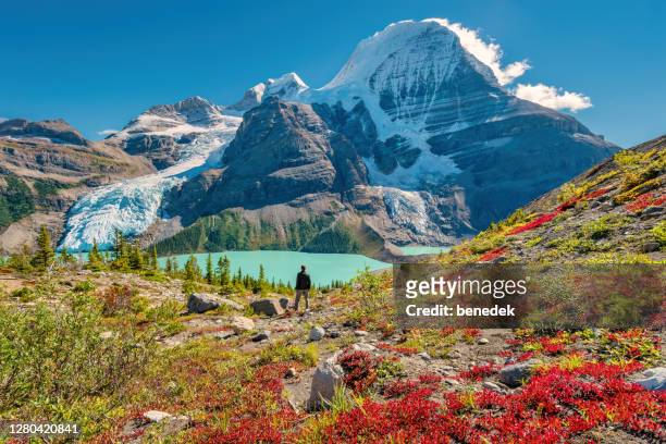 hiker admires view of mount robson canadian rockies canada - canada stock pictures, royalty-free photos & images