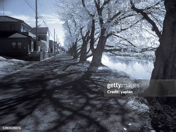 Hasuda 34 Hasuda Saitama Stock Photos, High-Res Pictures, and Images - Getty ...