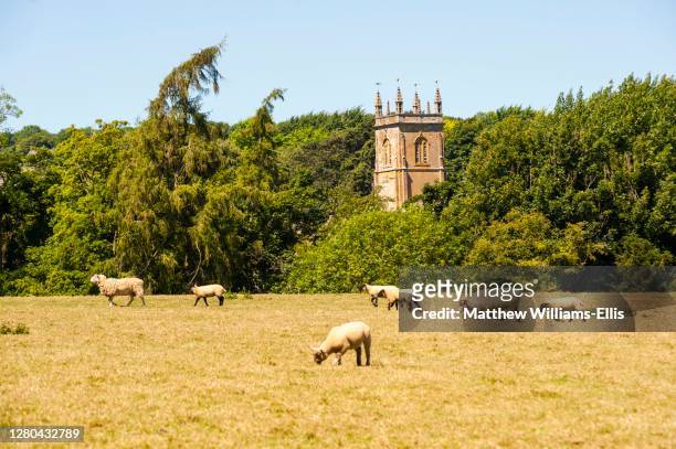 st james' church in blockley, a traditional village in the cotswolds, gloucestershire, england, united kingdom - blockley stock pictures, royalty-free photos & images