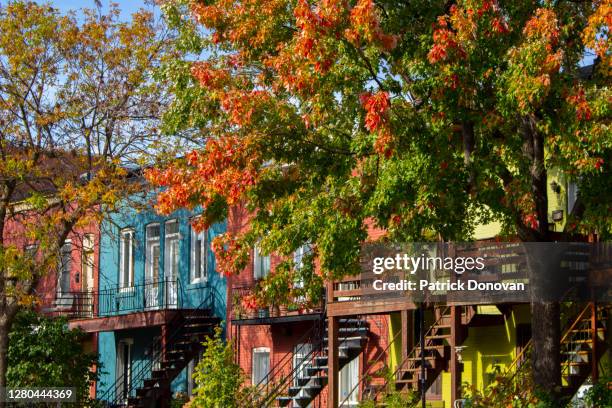 fall colors, montreal, quebec, canada - montréal 個照片及圖片檔