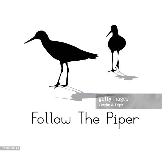 follow the piper silhouette - wader bird stock illustrations