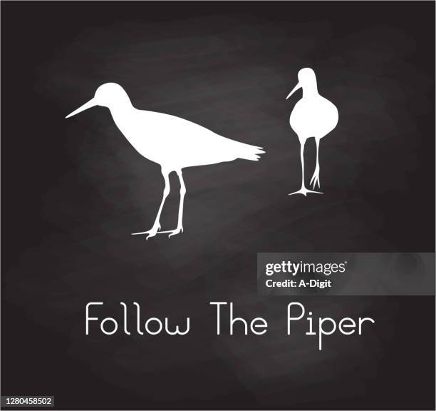 follow the piper silhouette chalkboard - piper bird stock illustrations
