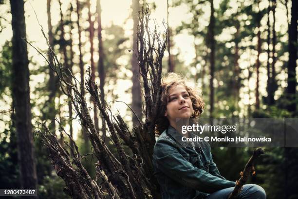 high angle view of boy sitting on tree roots in forest - blonde hair roots stock pictures, royalty-free photos & images