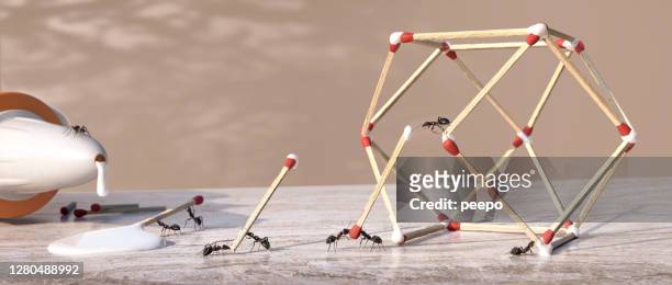 ants form three dimensional geometric sculpture from matchsticks and glue - animal cooperation stock pictures, royalty-free photos & images