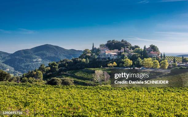 france, provence, vaucluse, dentelles de montmirail, suzette - french landscape stock pictures, royalty-free photos & images