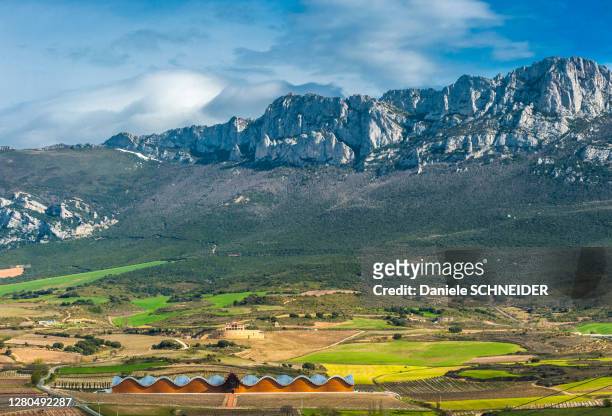 spain, autonomous community of the basque country, laguardia, ysios cellar (2001, architect santiago calatrava) (domecq pernod-ricard group) at the foot of the cantabria mountain range - alava province stock pictures, royalty-free photos & images