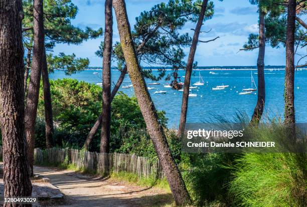 france, arcachon bay, access way to pereire beach at arcachon - gironde stock-fotos und bilder