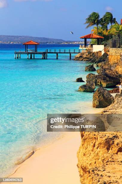 dutch antilles. bonaire. kralendijk. bachelors beach. - bonaire stock-fotos und bilder