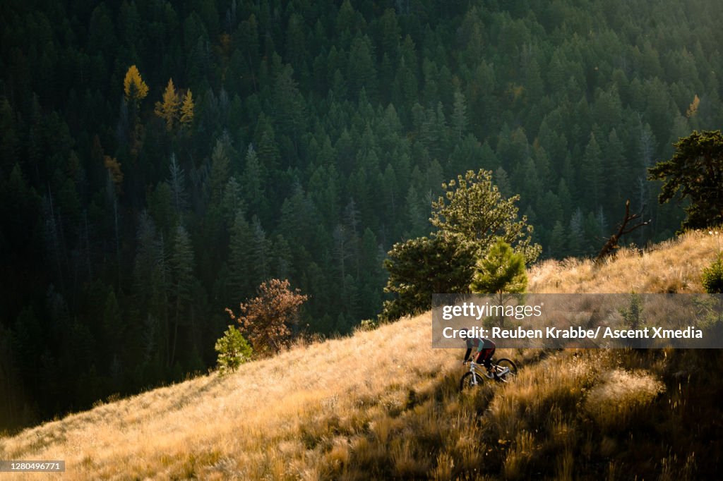 Elevated view of mountain biker descending single track