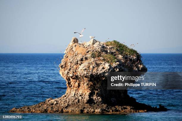greece, ionian islands, cefalonia. - ionian sea stock pictures, royalty-free photos & images