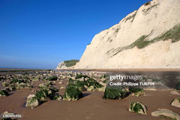 france, pas-de-calais, cliffs of the cap blanc-nez - cap blanc nez stock pictures, royalty-free photos & images