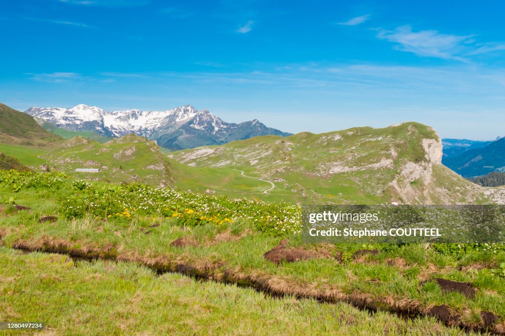France, Savoie, mountain pastures and glaciers at the col des saisies