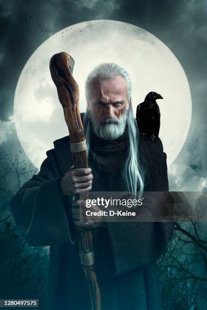 wizard - feiticeiro imagens e fotografias de stock