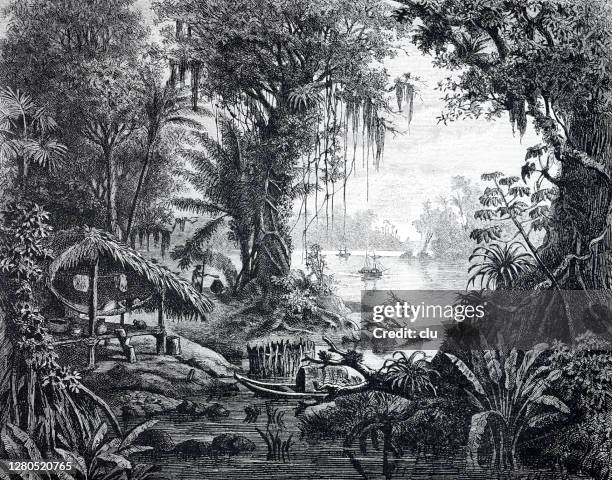 ilustrações de stock, clip art, desenhos animados e ícones de settlement of rubber collectors in the amazon - floresta pluvial