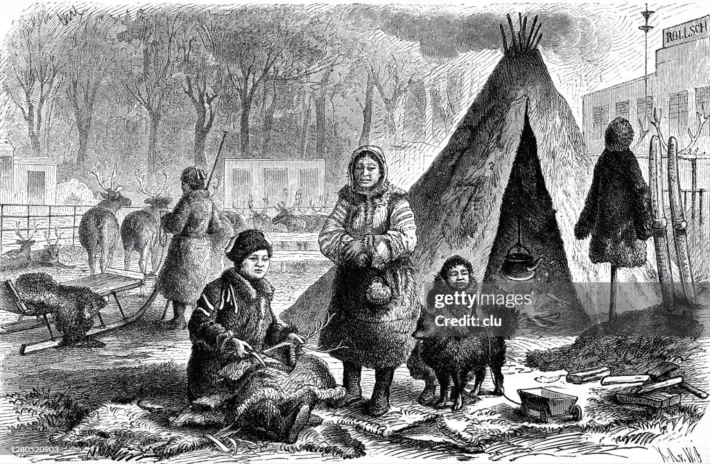Samoyed people in the zoological garden in Leipzig