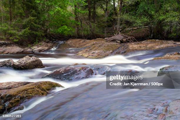 scenic view of stream flowing in forest,halden,norway - halden norway stockfoto's en -beelden