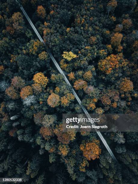 herbstwald von oben - weitwinkelaufnahme stock pictures, royalty-free photos & images