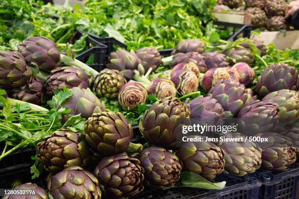 close-up of vegetables for sale in market,france - jens siewert stock pictures, royalty-free photos & images