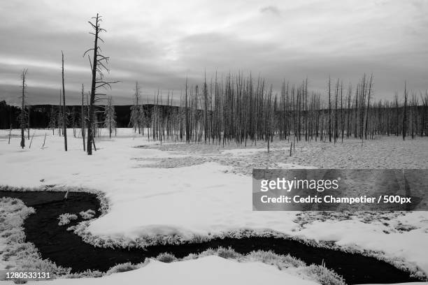 scenic view of snow covered land against sky,parc national de yellowstone,united states,usa - parc national de yellowstone fotografías e imágenes de stock