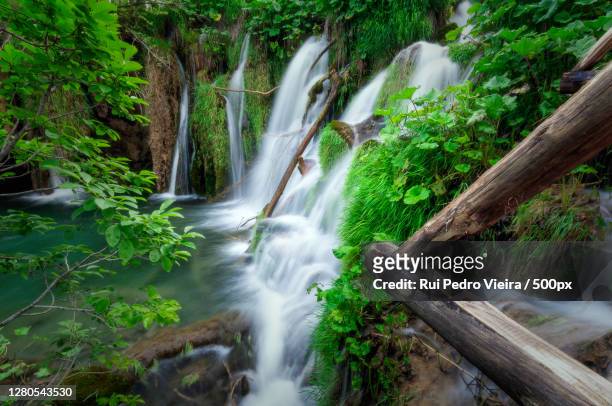 scenic view of waterfall in forest - férias 個照片及圖片檔