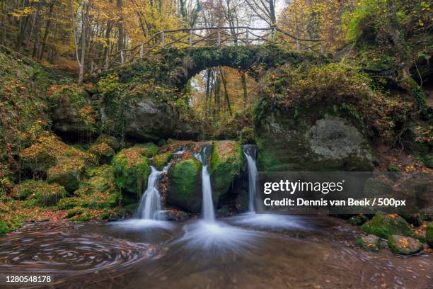 scenic view of waterfall in forest,mullerthal,grevenmacher,luxembourg - oud stock pictures, royalty-free photos & images