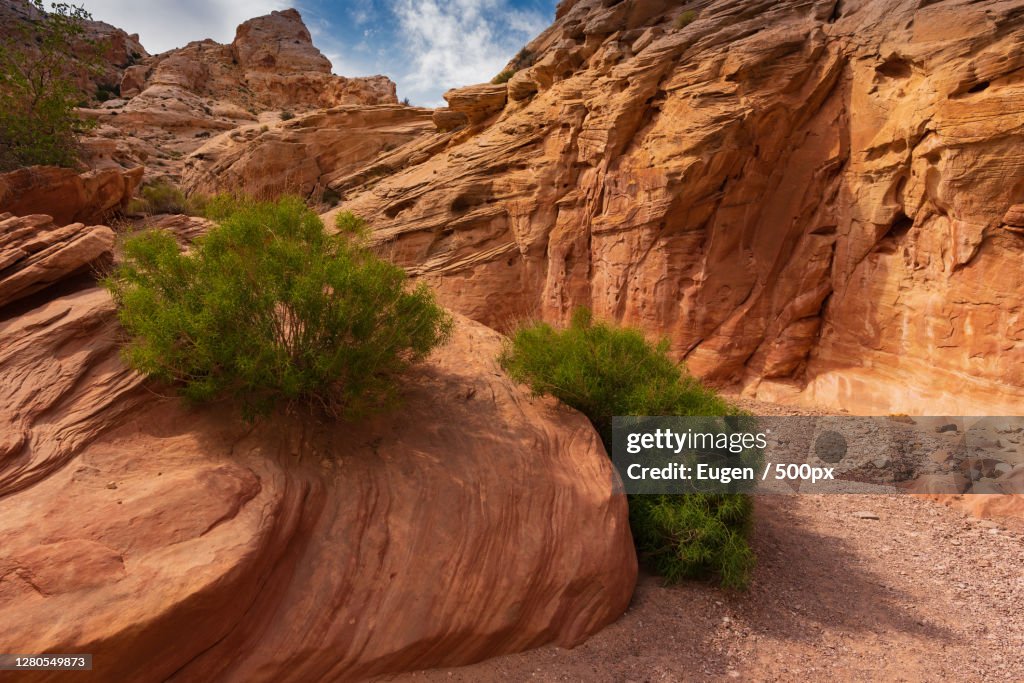 Green Rocks Utah View Of Rock Formationsgreen Riverutahunited Statesusa High-Res Stock ...