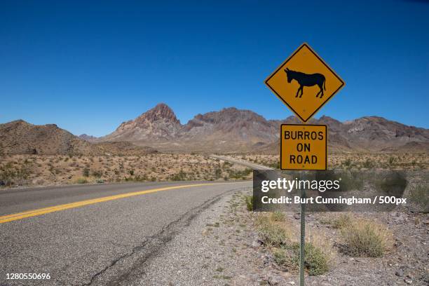 close-up of road sign against clear blue sky,oatman,arizona,united states,usa - oatman arizona stock pictures, royalty-free photos & images