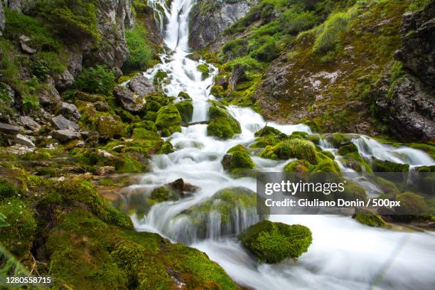 scenic view of waterfall in forest,pinzolo,italy - giuliano rios fotografías e imágenes de stock