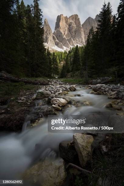 scenic view of stream flowing through rocks in forest - rossetto stock pictures, royalty-free photos & images