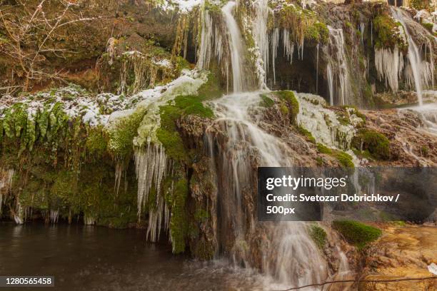 Strandja Strandja Photos and Premium High Res Pictures - Getty Images