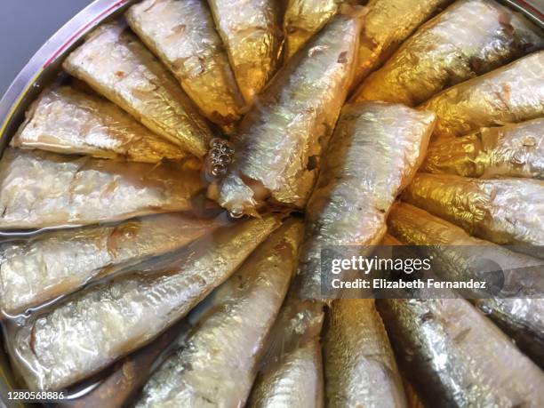 packed sardines in olive oil, top view - oily skin stock pictures, royalty-free photos & images