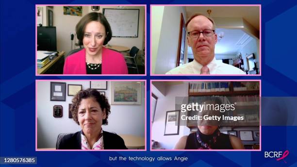 In this screengrab, Judy Garber, William G. Kaelin Jr., Angela DeMichele and Lori J. Pierce speak during the 2020 Breast Cancer Research Foundation...