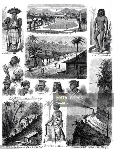images from ceylon, sri lanka - jungle road stock illustrations