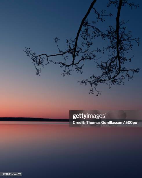 scenic view of sea against clear sky at sunset,sweden - soluppgång stockfoto's en -beelden