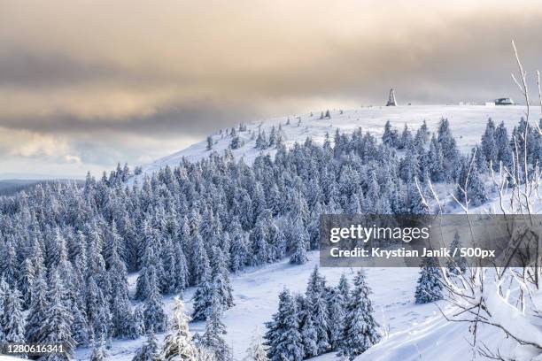 scenic view of snow covered land against sky,schwarzwald,germany - schwarzwald fotografías e imágenes de stock