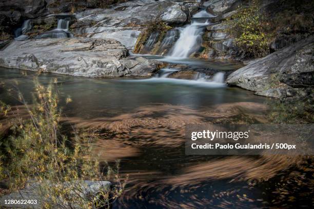 Crodo 31 Crodo Stock Photos, High-Res Pictures, and Images - Getty Images