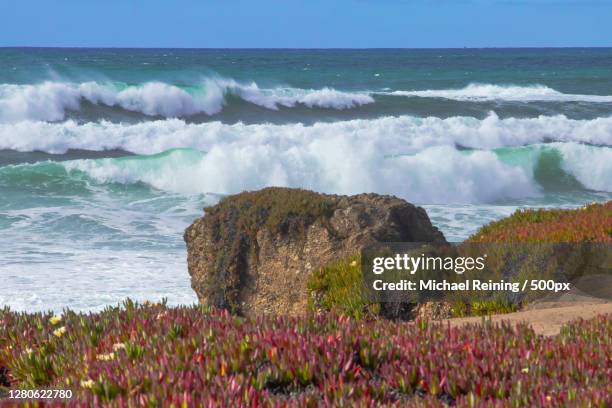 scenic view of sea against sky,pescadero,california,united states,usa - pescadero stock pictures, royalty-free photos & images