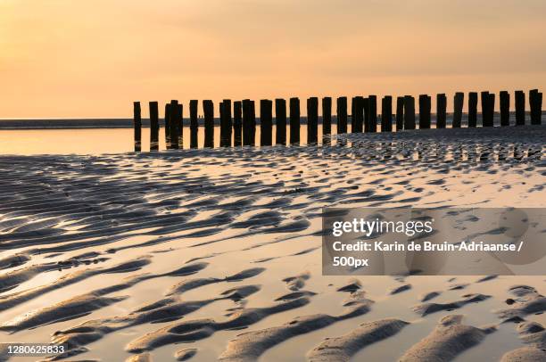 scenic view of beach against sky during sunset,zeeland,netherlands - zonsondergang 個照片及圖片檔