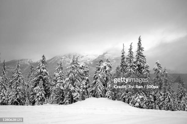 scenic view of snow covered land against sky, whistler, canada - black and white landscape stock pictures, royalty-free photos & images