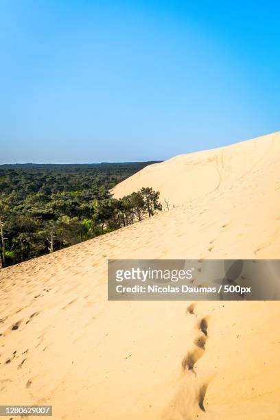 scenic view of desert against clear blue sky,dune du pilat,france - duna de pilat fotografías e imágenes de stock