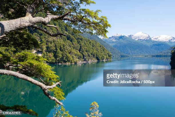 scenic view of lake by trees against sky,parque nacional los alerces,chubut,argentina - chubut province ストックフォトと画像