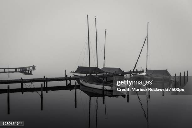 view of marina at harbor,hamburg,germany - mariusz roclawski 個照片及圖片檔