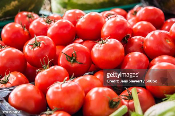 close-up of tomatoes for sale at market stall,france - jens siewert stock pictures, royalty-free photos & images