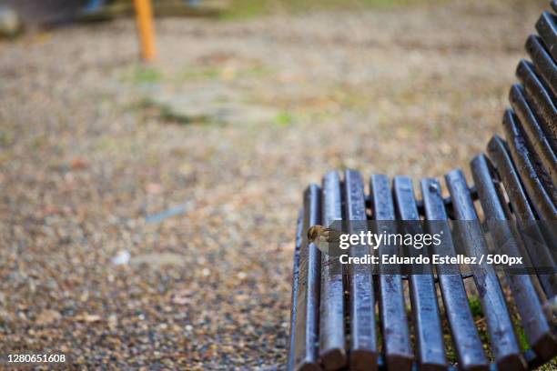 close-up of bench on footpath - banco asiento stock pictures, royalty-free photos & images