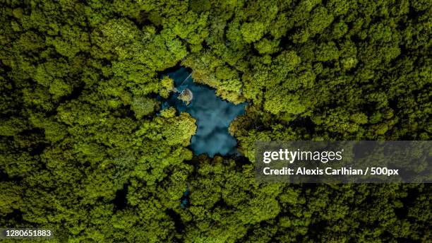 aerial view of green forest,france - aerial forest stockfoto's en -beelden