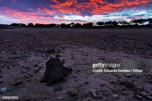 97 Zarza De Granadilla Stock Photos, HighRes Pictures, and Images