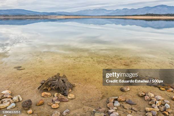 scenic view of beach against sky,zarza de granadilla,extremadura,spain - ecossistema stock pictures, royalty-free photos & images